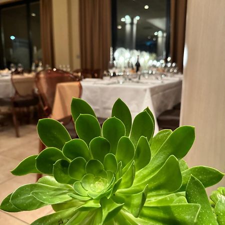 Grand Hotel フォルリ エクステリア 写真